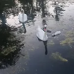 Landsted La De L'etang *