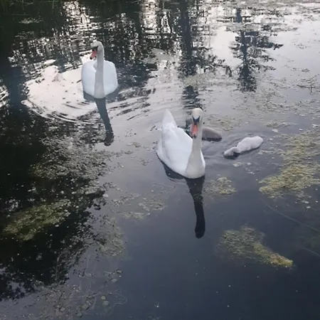 Séjour à la campagne La De L'étang *