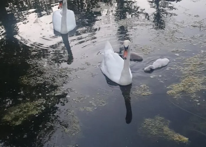 乡村民宿 La De L'etang *